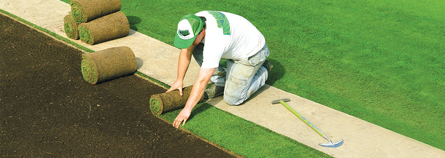 Roll Out Grass for Landscapers