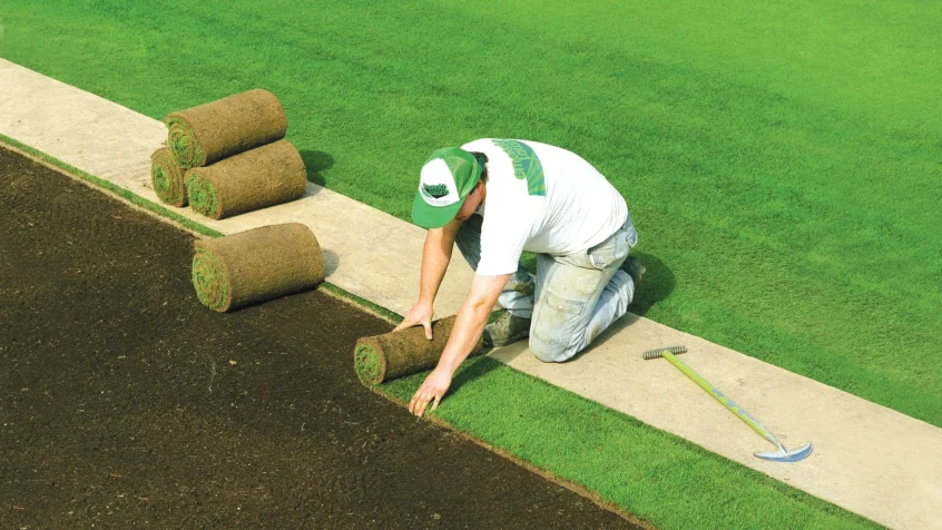 How to Get the Best From Fresh Grass Turf Rolls