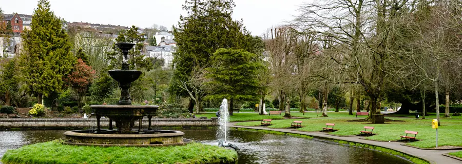 Lawn turf delivery to Cork — fresh roll out grass on pallets